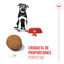 15 kg Royal Canin Puppy Maxi ração para cães, , large Indicador imagem número 4
