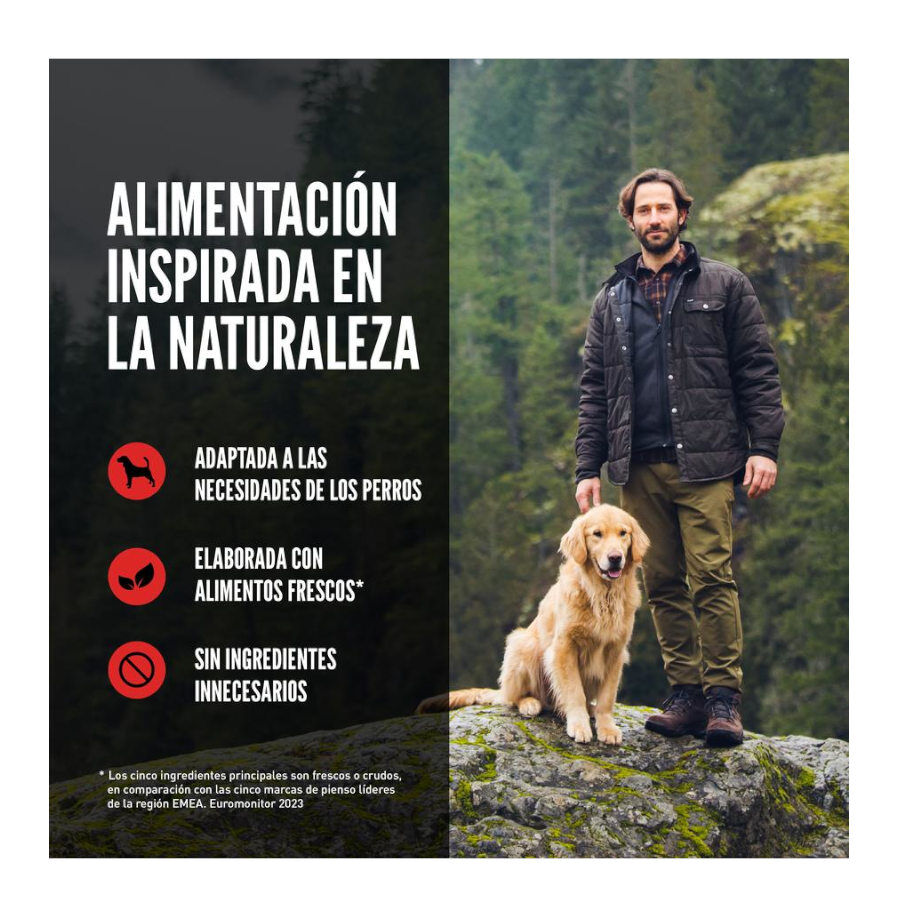 11 kg Orijen Six Fish Adult ra&ccedil;&atilde;o para c&atilde;es, , large Imagem n&uacute;mero 8