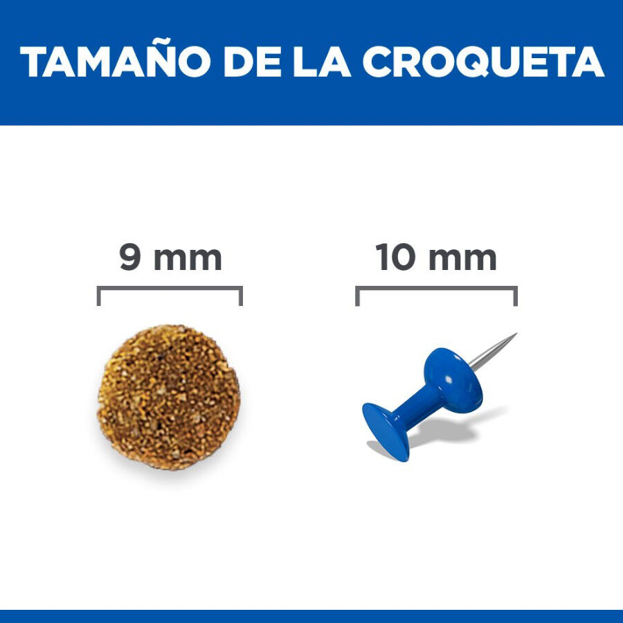 7 kg Hill's Adult Science Plan Perfect Digestion Frango ra&ccedil;&atilde;o para gatos, , large Imagem n&uacute;mero 4