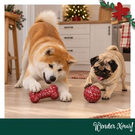 Wonder Christmas Osso e Bola Brinquedo para c&atilde;es