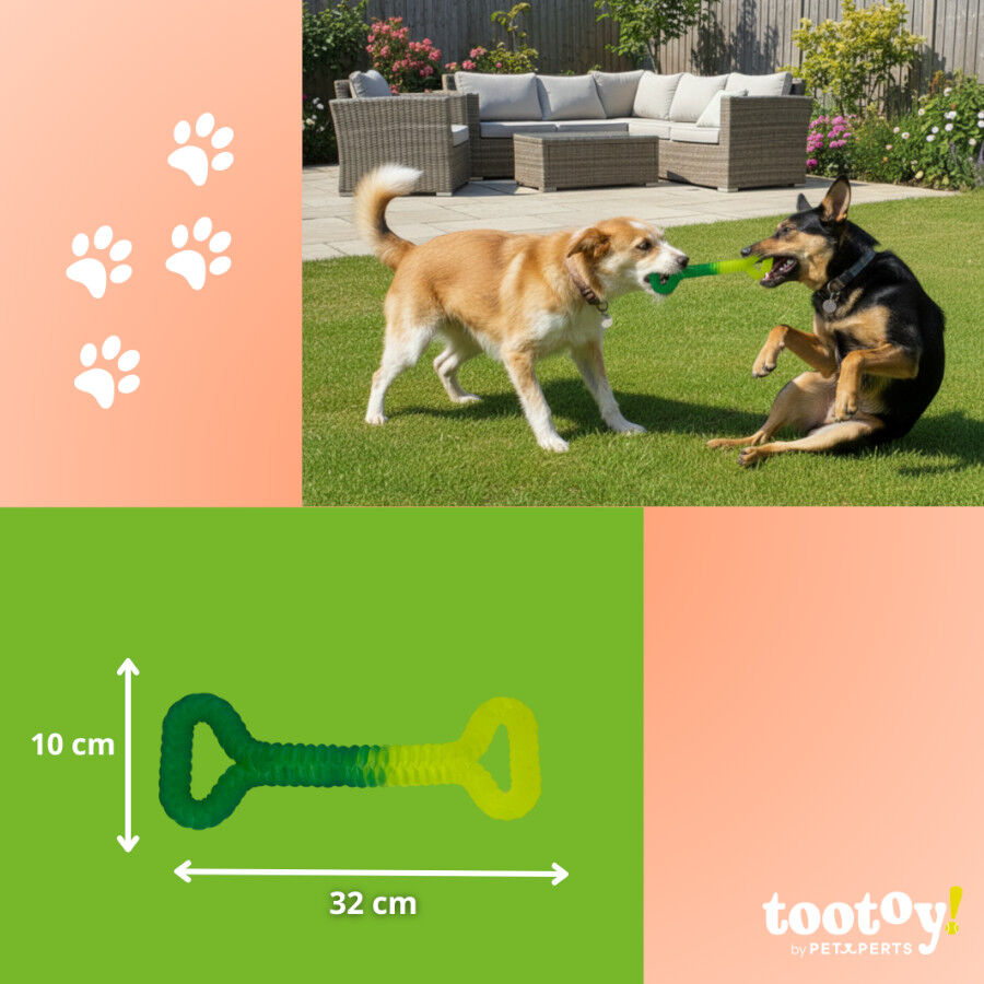 Tootoy! Chew Mordedor pegar e puxar para c&atilde;es, , large Imagem n&uacute;mero 4