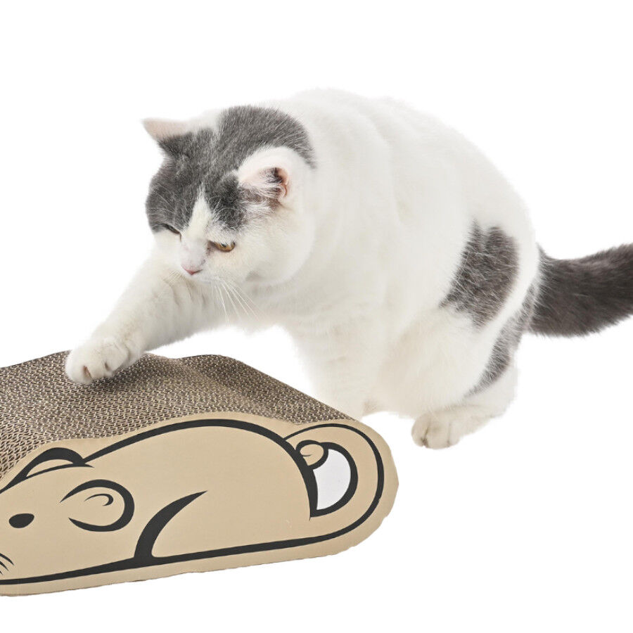 Leeby Miaou t&aacute;bua arranhadora de cart&atilde;o para gatos, , large Imagem n&uacute;mero 6