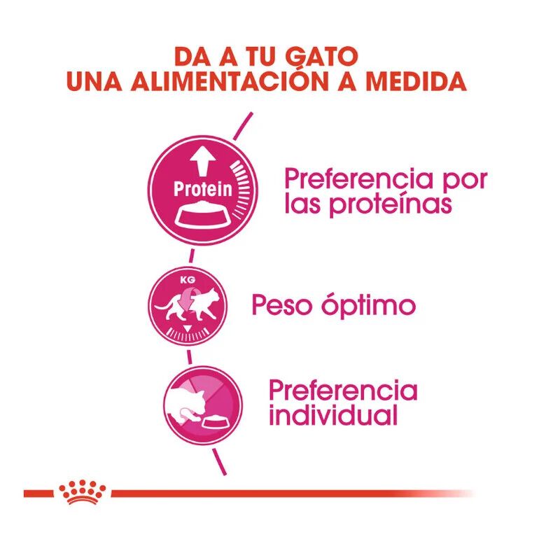 2 kg Royal Canin Adult Exigent Protein ra&ccedil;&atilde;o para gatos, , large Imagem n&uacute;mero 4