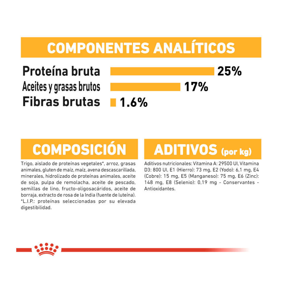 12 kg Royal Canin Maxi Dermacomfort ra&ccedil;&atilde;o para c&atilde;es, , large Imagem n&uacute;mero 7