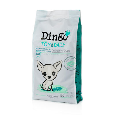 Dingo Toy & Daily para cão