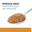 Hill's Prescription Diet Kidney Care Frango lata para cães, , large Indicador imagem número 8