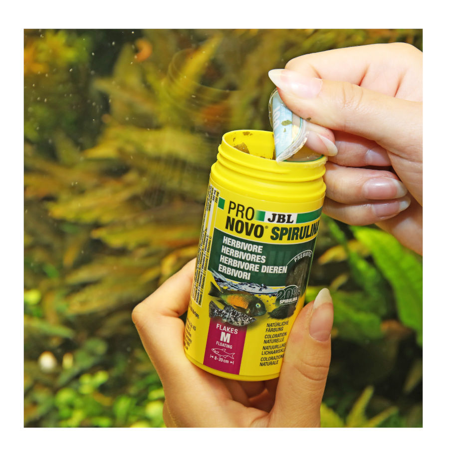 JBL Spirulina Alimento para peixes algueiros, , large Imagem n&uacute;mero 3