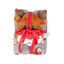 Wonder Christmas Festive Gift Pack Peluche e Manta para cães , , large Indicador imagem número 1