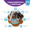 Outward Hound Puppy Lickin' Layers Brinquedo interativo com Snacks para cachorros, , large Indicador imagem número 6