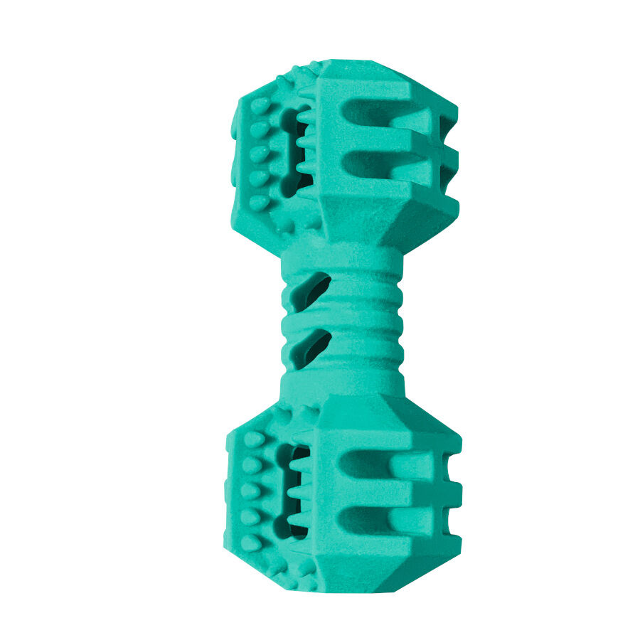 Summer Vibes Peso Mordedor Flutuante para c&atilde;es, , large Imagem n&uacute;mero 1