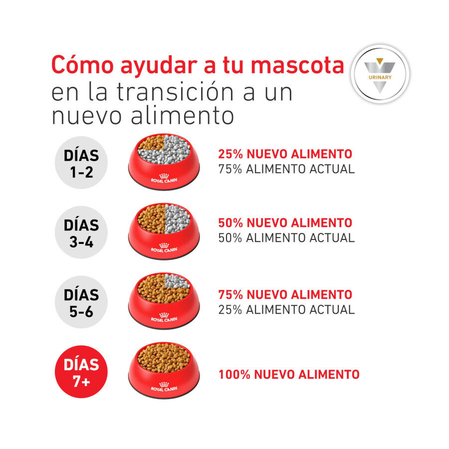 1.5 kg Royal Canin Veterinary Urinary S/O Moderate Calorie ra&ccedil;&atilde;o para gatos, , large Imagem n&uacute;mero 10