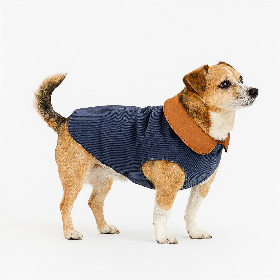 Outech Casaco Estilo Aviador Rosa e Azul para c&atilde;es, , large Imagem n&uacute;mero 3