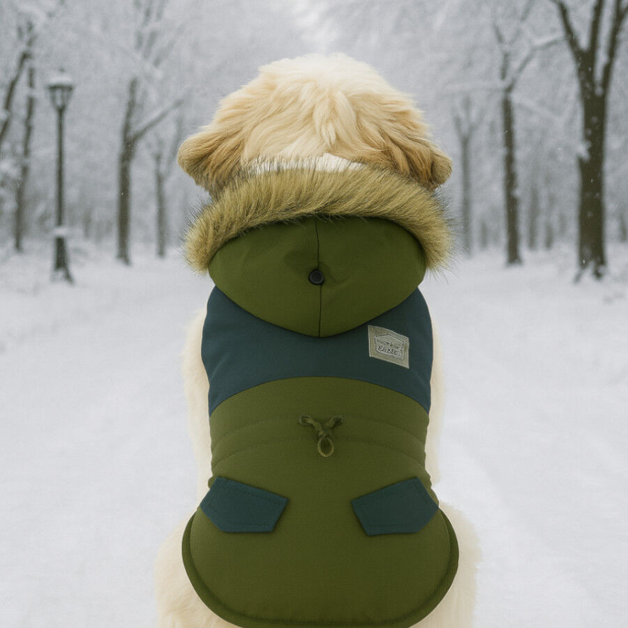 Outech Casaco Verde para c&atilde;es, , large Imagem n&uacute;mero 3