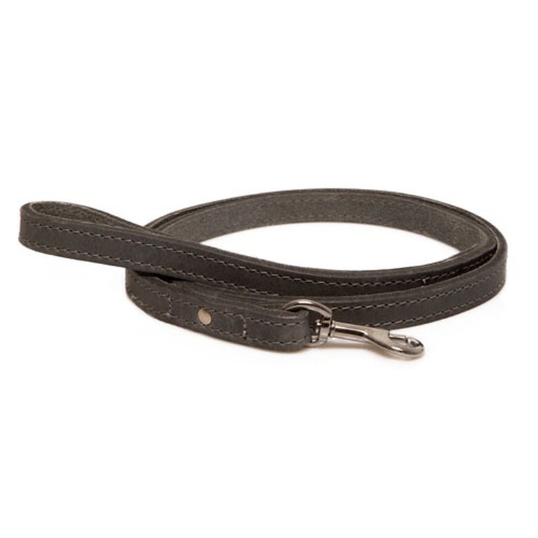 TK-Pet Namur correa de cuero gris para perros Imagem número 1 TK-Pet Namur correa de cuero gris para perros Imagem número 1