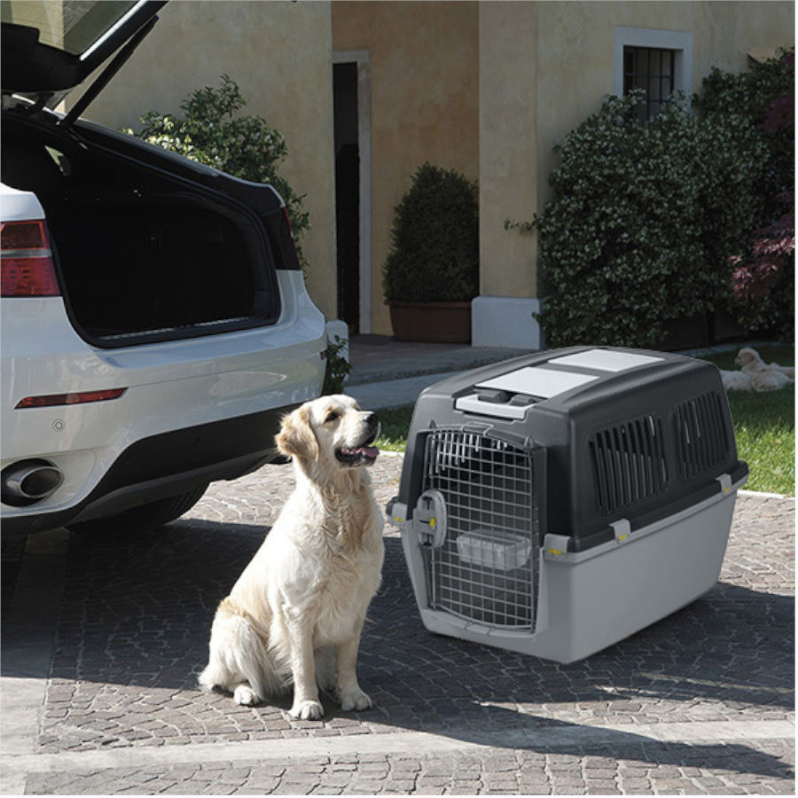 Gulliver 5 IATA Transportador para c&atilde;es, , large Imagem n&uacute;mero 3