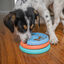 Outward Hound Puppy Lickin' Layers Brinquedo interativo com Snacks para cachorros, , large Indicador imagem número 2