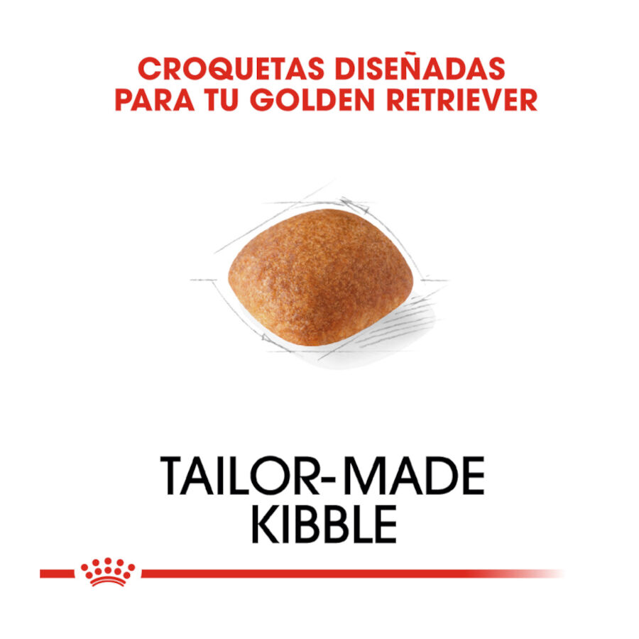12 kg Royal Canin Adult Golden Retriever ra&ccedil;&atilde;o para c&atilde;es, , large Imagem n&uacute;mero 5