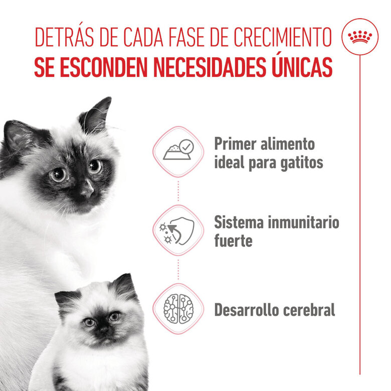 195 g Royal Canin Mother Baby mousse latas para gatos,  Imagem número 3 195 g Royal Canin Mother Baby mousse latas para gatos, , large Imagem número 3