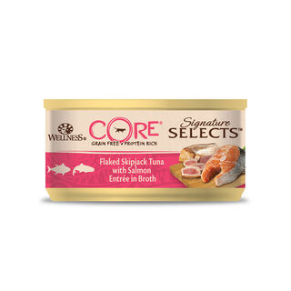 Wellness Core Flaked Salmão lata para gatos