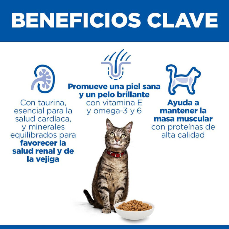 10 kg Hill's Adult Science Plan Frango ração para gatos,  Imagem número 3 10 kg Hill's Adult Science Plan Frango ração para gatos, , large Imagem número 3