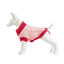 Freedog Elsinor Camisola para cães, , large Indicador imagem número 3