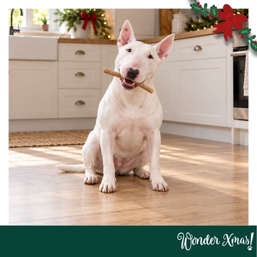 1 pack x 15 uns.Wonder Christmas Palitos de Colag&eacute;nio com Peru Snacks para C&atilde;es, , large Imagem n&uacute;mero 2