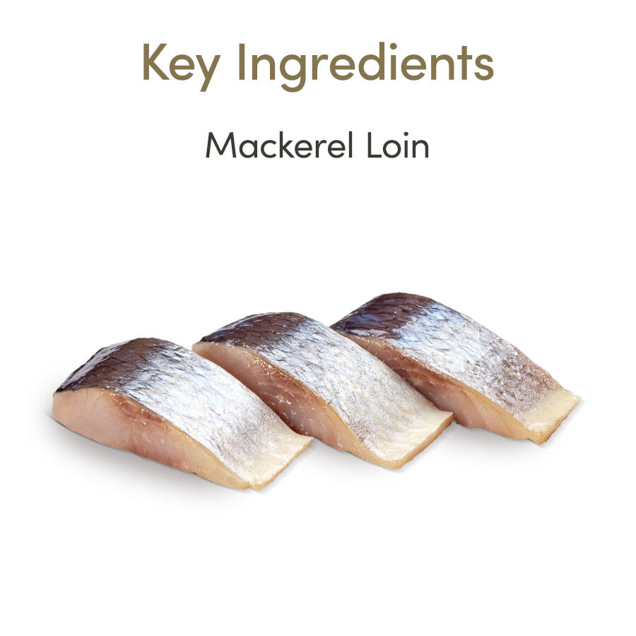 30 g Applaws Lombo de Cavala para gatos, , large Imagem n&uacute;mero 5