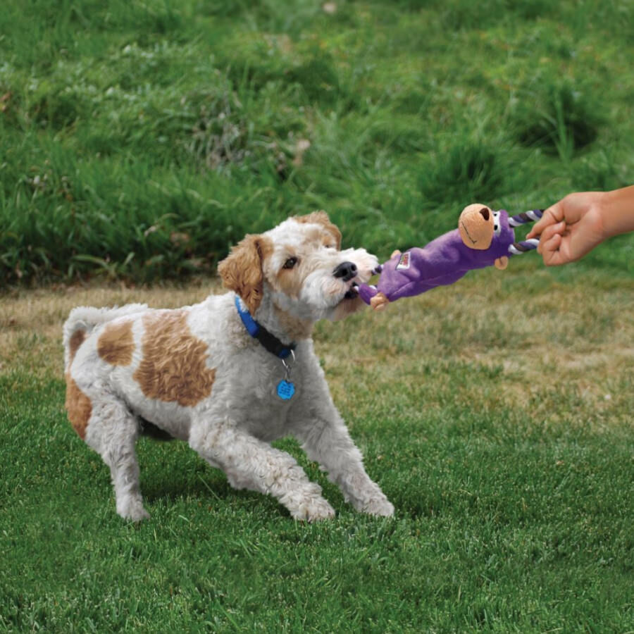 Kong Tugger Knots Sapo com Cordas de peluche para c&atilde;es, , large Imagem n&uacute;mero 2