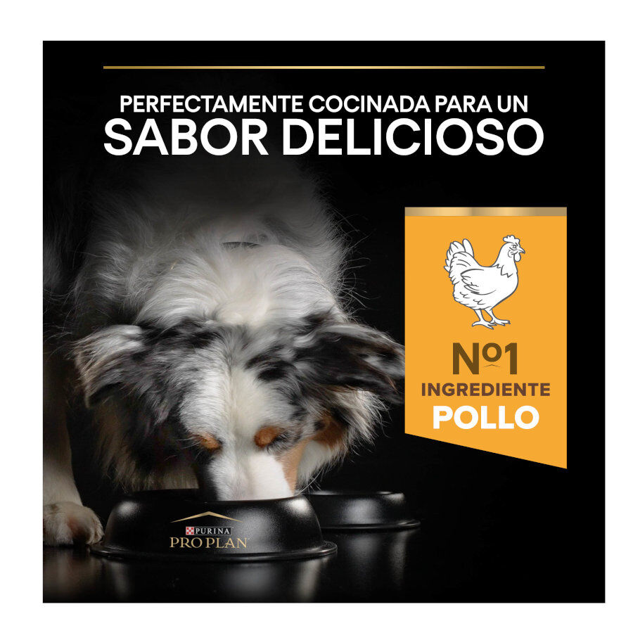 14 kg Pro Plan Adult Light/Sterilised Frango ra&ccedil;&atilde;o para c&atilde;es, , large Imagem n&uacute;mero 8