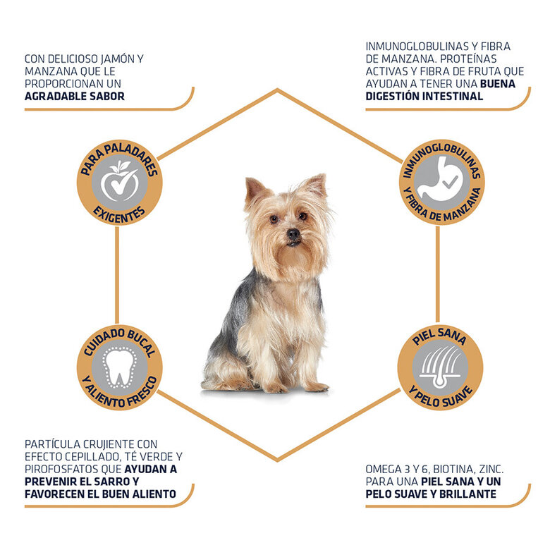 pienso_perros_affinity_advance_yorkshire_terrier_beneficios_ADV523210_M.jpg image number null
