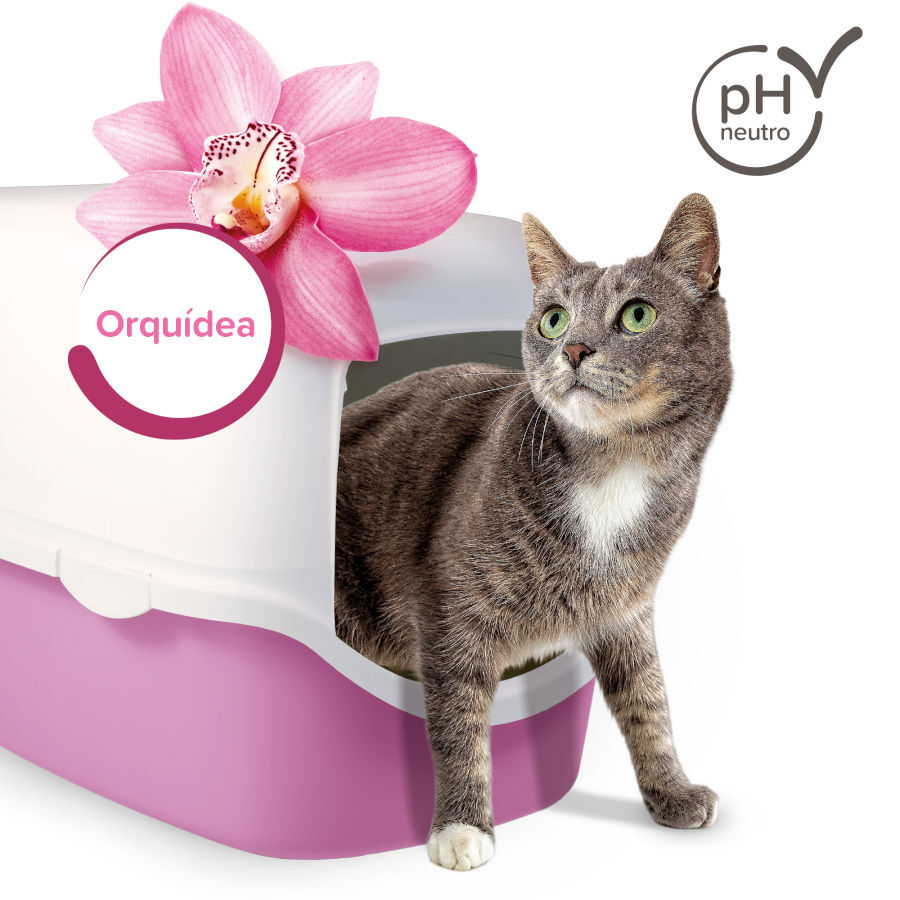 Beaphar Multi Fresh Orqu&iacute;deas Neutralizador de odores para gatos, , large Imagem n&uacute;mero 4