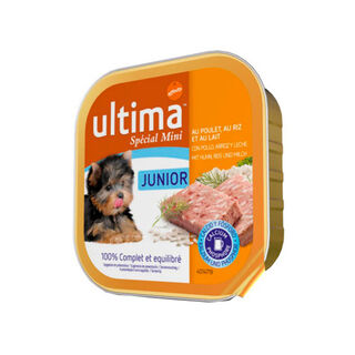 Affinity Ultima Junior húmido para cães Mini