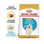Royal Canin Puppy Golden Retriever ração para cães, , large image number null