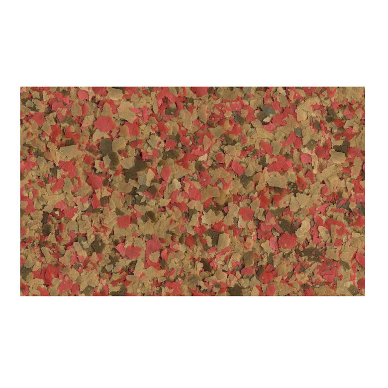 Tetra Goldfish Escamas para peixes ,  Imagem número 2 Tetra Goldfish Escamas para peixes , , large Imagem número 2