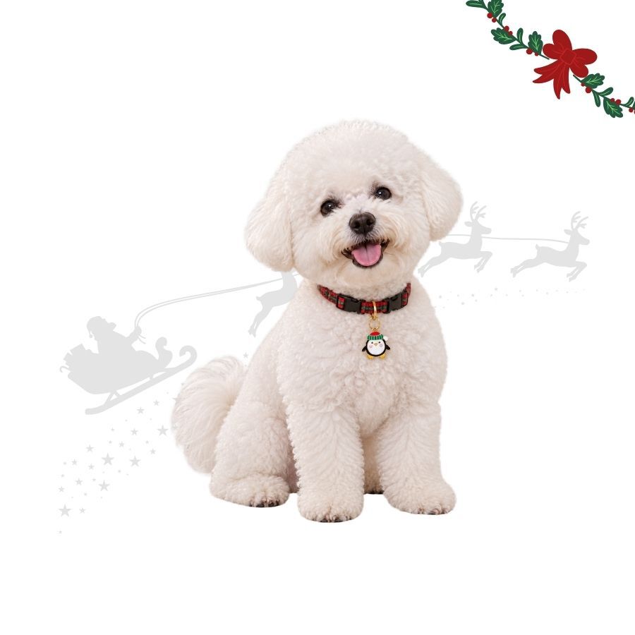 Wonder Christmas Pendente para coleira em forma de pinguim para c&atilde;es, , large Imagem n&uacute;mero 1
