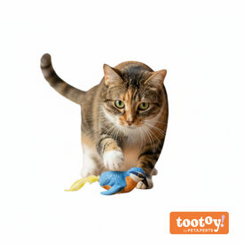 Tootoy! Interactive & Stimulate Pássaro de brinquedo para gatos