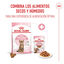 3.5 kg Royal Canin Kitten Sterilised ração para gatos , , large Indicador imagem número 6