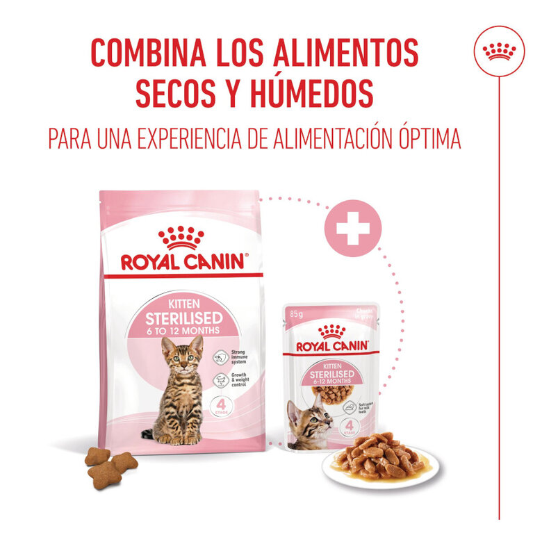 3.5 kg Royal Canin Kitten Sterilised ração para gatos ,  Imagem número 6 3.5 kg Royal Canin Kitten Sterilised ração para gatos , , large Imagem número 6