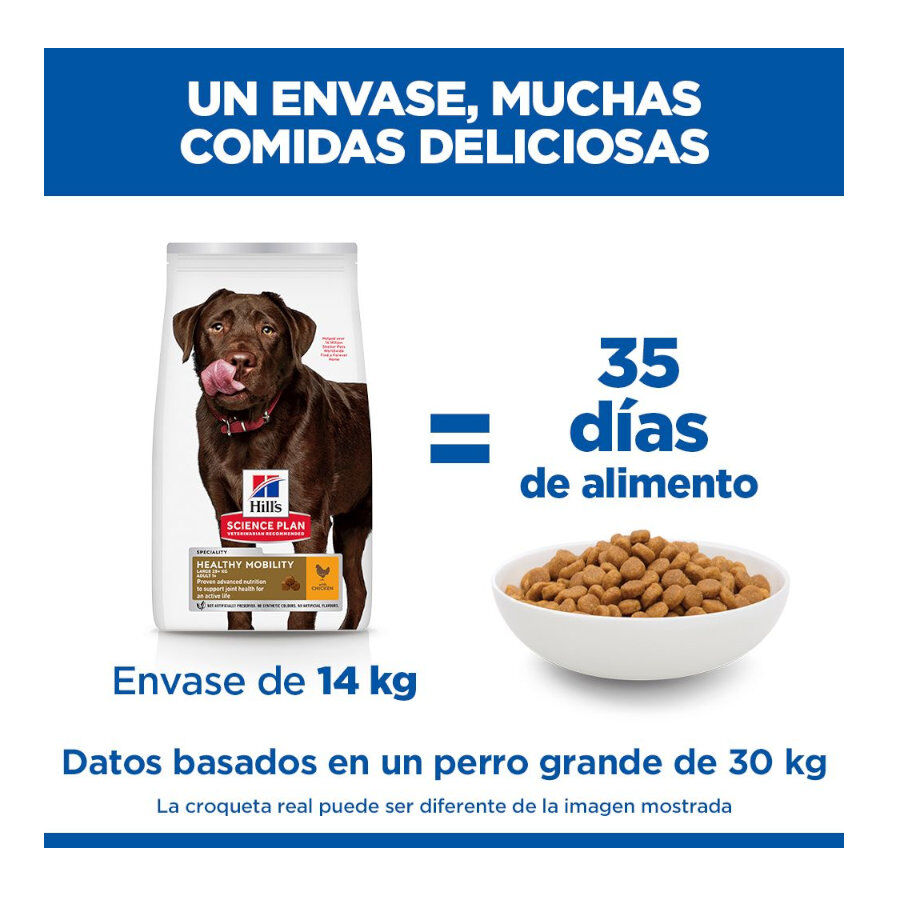 12 kg Hill's Science Plan Healthy Mobility Adult Large Frango ra&ccedil;&atilde;o para c&atilde;es, , large Imagem n&uacute;mero 6