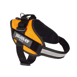 Julius K9 arnês laranja neon para cães
