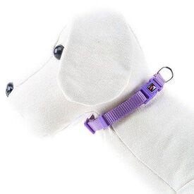 Nayeco Basic Coleira Lil&aacute;s de Nylon para c&atilde;es 