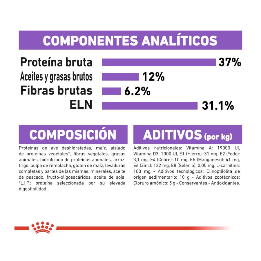 12 kg (10 + 2 kg gr&aacute;tis!) Royal Canin Regular Sterilised 37 ra&ccedil;&atilde;o para gatos, , large Imagem n&uacute;mero 6