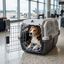 Outech IATA Apolo Transportadora para c&atilde;es e gatos, , large Indicador imagem n&uacute;mero 1