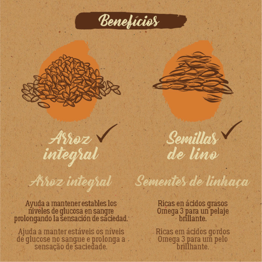 12 kg True Origins Pure Adult Frango e Arroz ra&ccedil;&atilde;o para c&atilde;es, , large Imagem n&uacute;mero 6