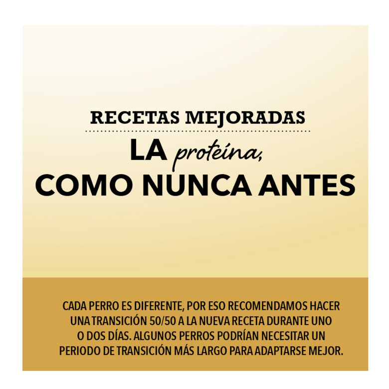 11.4 kg Acana Grasslands Ração para cães,  Imagem número 3 11.4 kg Acana Grasslands Ração para cães, , large Imagem número 3