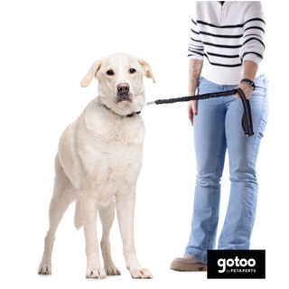 Gotoo Trela dupla para cães