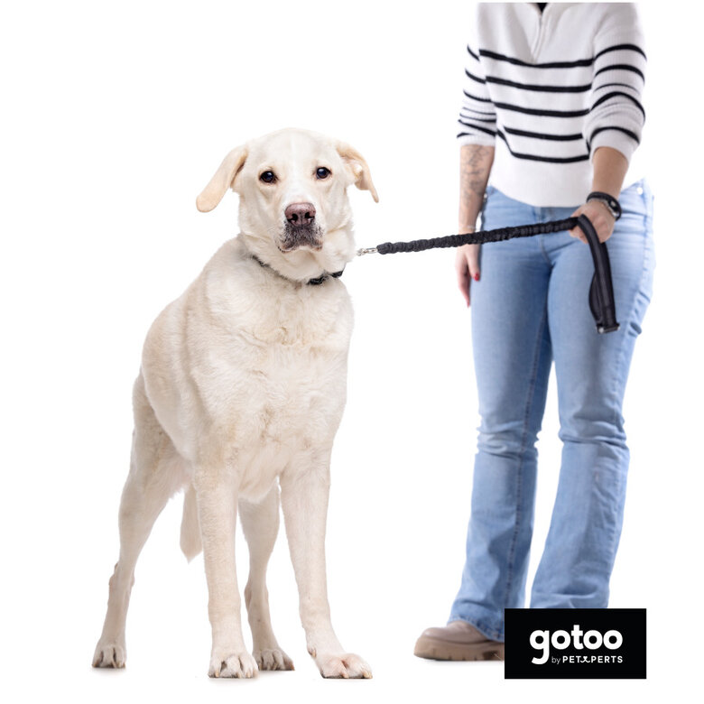 Gotoo Trela dupla para cães,  Imagem número 5 Gotoo Trela dupla para cães, , large Imagem número 5