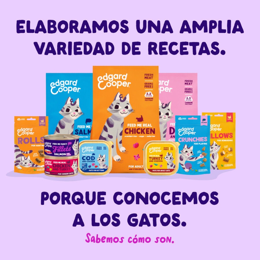 70 g Edgard & Cooper Filetes de Salm&oacute;n y At&uacute;n Lata para gatos, , large Imagem n&uacute;mero 8