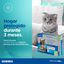 Virbac Effipro Duo Pipetas Antiparasitárias para gatos, , large Indicador imagem número 6