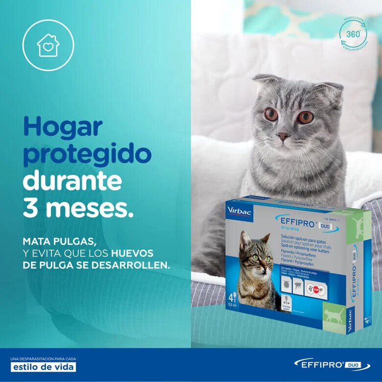 Virbac Effipro Duo Pipetas Antiparasitárias para gatos,  Imagem número 6 Virbac Effipro Duo Pipetas Antiparasitárias para gatos, , large Imagem número 6